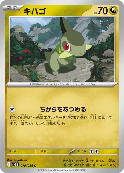 Thumbnail 1